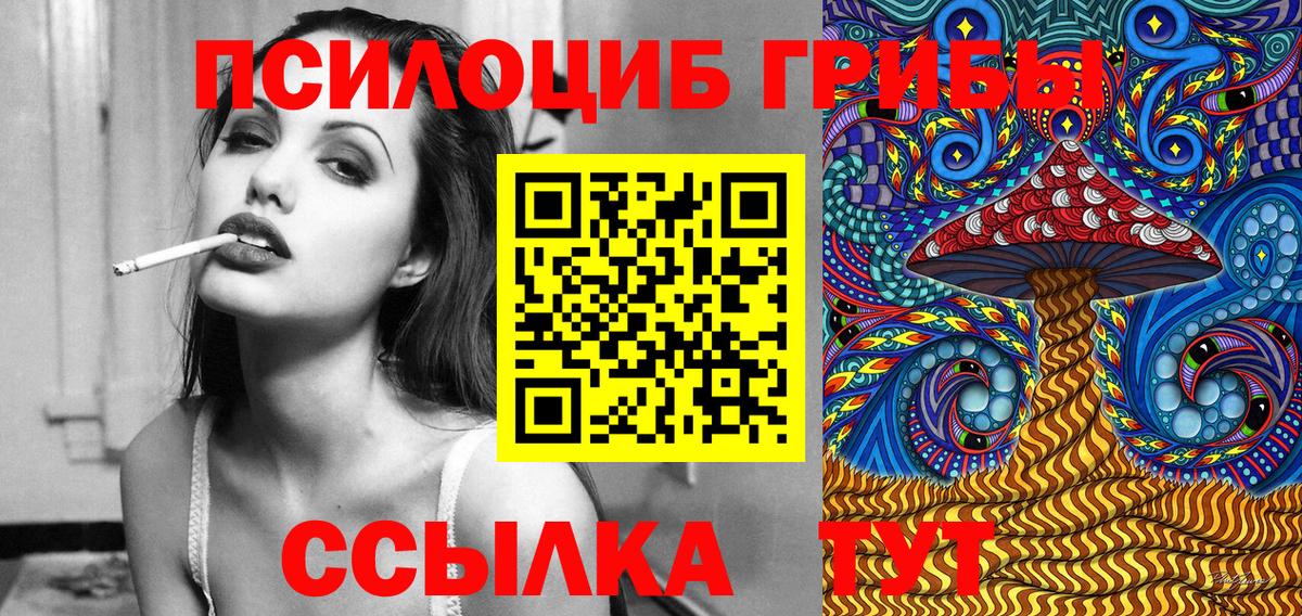 Галлюциногенные грибы MAGIC MUSHROOMS  Вход с VPN  Нальчик 